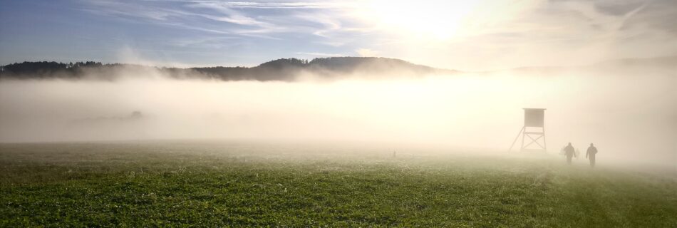 BestOf 2024 - Teil 4